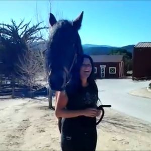 Meet your Posher, Ariana